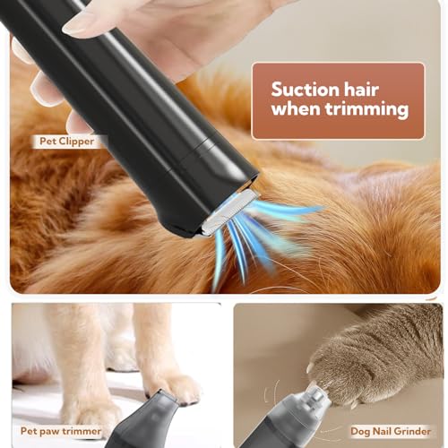 Bunfly Dog Grooming Kit & Dog Hair Vacuum, 3.5L Capacity Pet Grooming Vacuum with 13000kpa Strong Grooming & Vacuum Suction 99% Pet Hair,17 Grooming Tools Shedding Pet Hair, Home Cleaning -Black Bunfly Dog Grooming Kit & Dog Hair Vacuum, 3.5L Capacity Pet Grooming Vacuum with 13000kpa Strong Grooming & Vacuum Suction 99% Pet Hair,17 Grooming Tools Shedding Pet Hair, Home Cleaning -Black