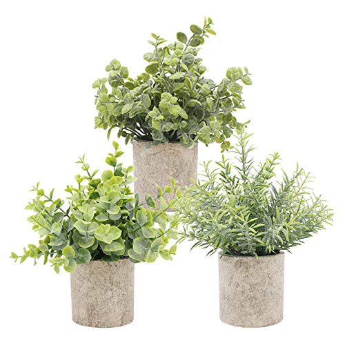 Preisvergleich Produktbild TURMIN 3 Stücke Mini Künstliche Topfpflanzen grüne Eukalyptuspflanzen aus Kunststoff für Haus Garten Büro Schreibtisch Duschraum Dekoration