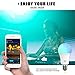 Smart Light Bulbs A19/E26 Color Changing Light Bulb 60W Equivalent, 50+ DIY Scenes, Music Sync, Schedules, Tunable White Dimmable LED Bulb Compatible with Alexa Google Assistant, 2 Pack