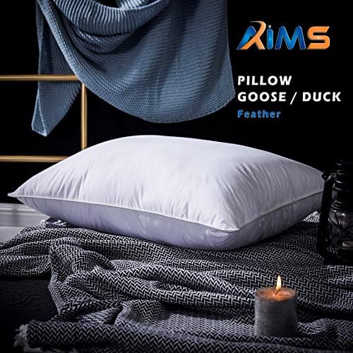 2pk Pair Pillow Goose OR Duck Feather Down Continental TC600 Hypoallergenic White Cushions Square Insert Luxury Deluxe Best Hotel Quality Super Soft Warm & Cosy Anti Allergy (Duck Pillows 2pk)