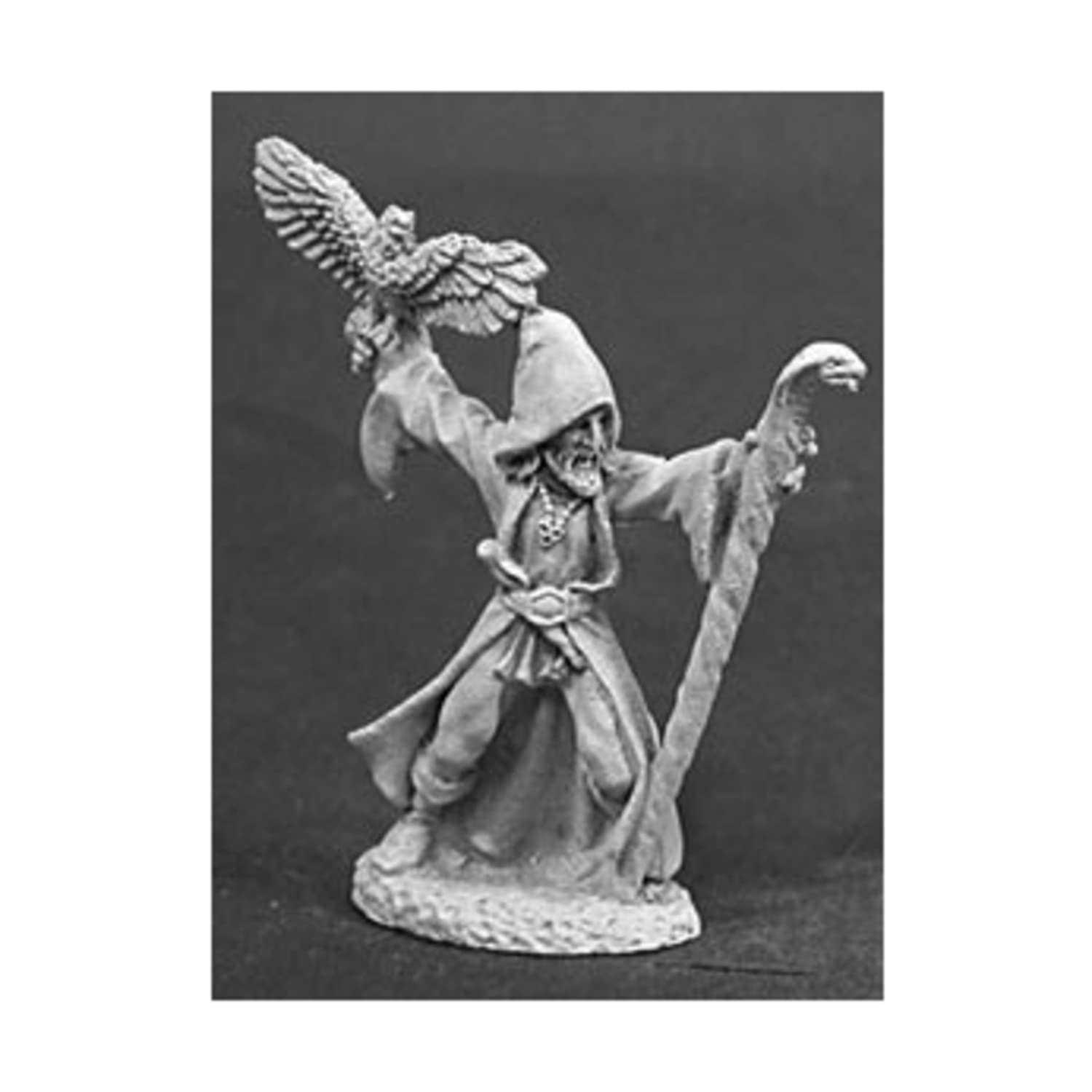 Amazon.com: Reaper Miniatures Darbin The Deadly #02011 Dark Heaven