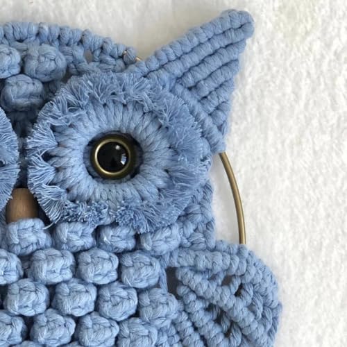 Image of tms Bohemian Owl Macrame Wall Hanging - 12 x 23 Inch - Handcrafted Boho Home Decor with Natural Elements - Boho Chic Accent for Home, Office, or Living Room (ICE BLUE)