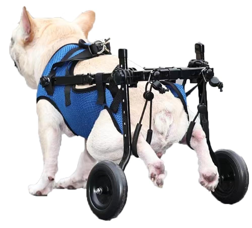 Aides aux chariots de mobilité pour chiens handicapés et ajustables XS