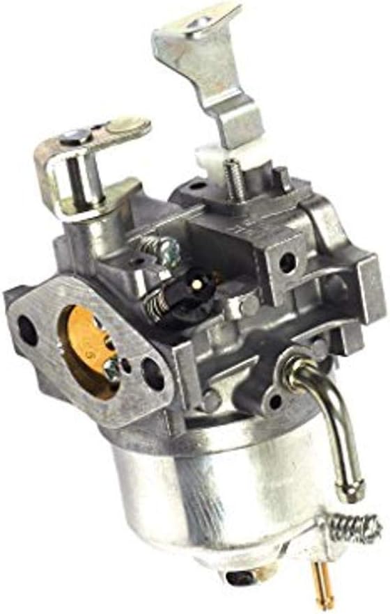 Amazon.com: Briggs and Stratton 715520 Carburetor : Patio, Lawn & Garden