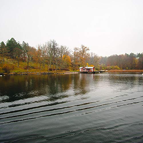 Happy Shakuhachi and Guitar Bgm for Self Care Easy