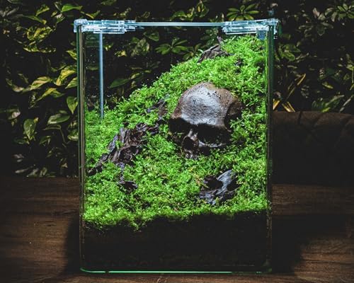 GRNLO Crusta Skull Aquarium Deko | Totenschädel-Versteck aus Keramik für Garnelen, Zwergkrebse & kleine Krabben | Dunkelbraun - 8,5 x 7,5 cm
