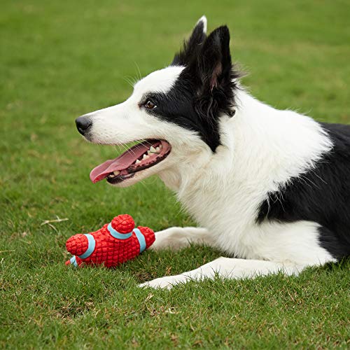 Image of EETOYS Petlicious and More Dog Latex Squeaky Star Toy (Medium)
