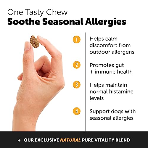 Pet Honesty Dog Allergy Support Immunity Chews – Omega-3 Salmon Fish Oil Supplement, Probiotics For Dogs, Seasonal Allergies, Skin + Coat Health, Intermittent Itchiness - Peanut Butter (90 Count) #TOP1