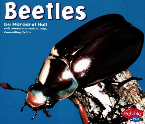 Beetles (Bugs, Bugs, Bugs!) : Hall, Margaret: Amazon.in: Books