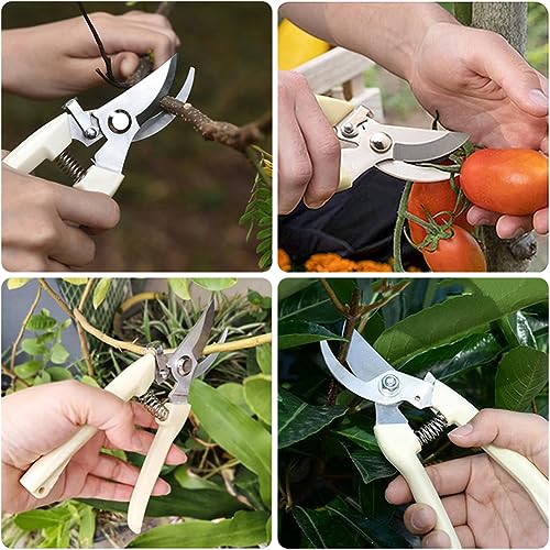 Tijeras de jardín para poda y frutas miniatura 6
