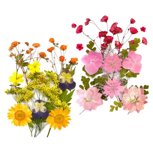 GSHLLO Flores Secas Mezcladas 30 Piezas para Decoración miniatura 1