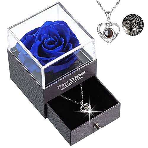 NYOOLO Eternal Rose, Preserved Real Rose with I Love You Necklace 100 Languages Gift Box, Handmade Eternal Roses for Her on Mothers Day Valentines Day Anniversary Christmas Birthday Gifts (Blue)