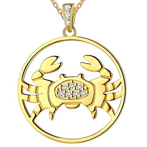 Star Sign Coin Charm Pendant Zodiac Cancer Necklace 925 Sterling Silver Constellation Necklace Star Necklace Celestial Jewellery Gifts for Women Girls FP0093X