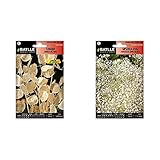 Semillas Batlle Lunaria MONEDA PAPA + Gipsofila vivaz PANICULATA fl.Simple