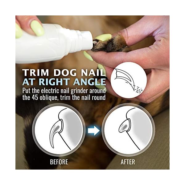 Rexipets cat and dog nail grinder - rechargeable electric pet nail clipper & trimmer- painless paws grooming - quiet 2-speed motor. 3 size ports for small, medium, large pets- up to 4 hours of charge - image 4