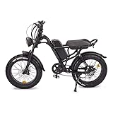  AIR RISE Bicicletta elettrica Fatbike z8 48V 15.6 ah
