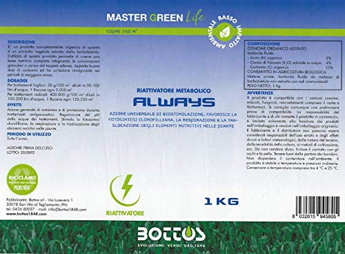 Bottos Concime Fertilizzante per Prato Always Master Green Life 1 Kg - 2