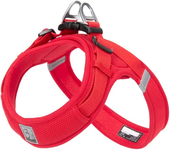 WINHYEPET Truelove Step-in Dog Harness Soft Mesh Reflective Breathable Dog Harness, Easy Walk Harness with Safety Buckle for Extra Small…
