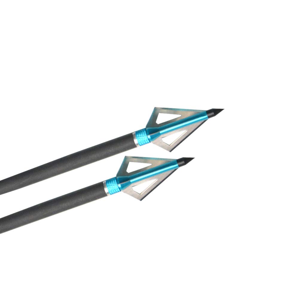 ZSHJG 6pcs Tir à L'arc Flèche Tête Chasse Pointes De Flèches