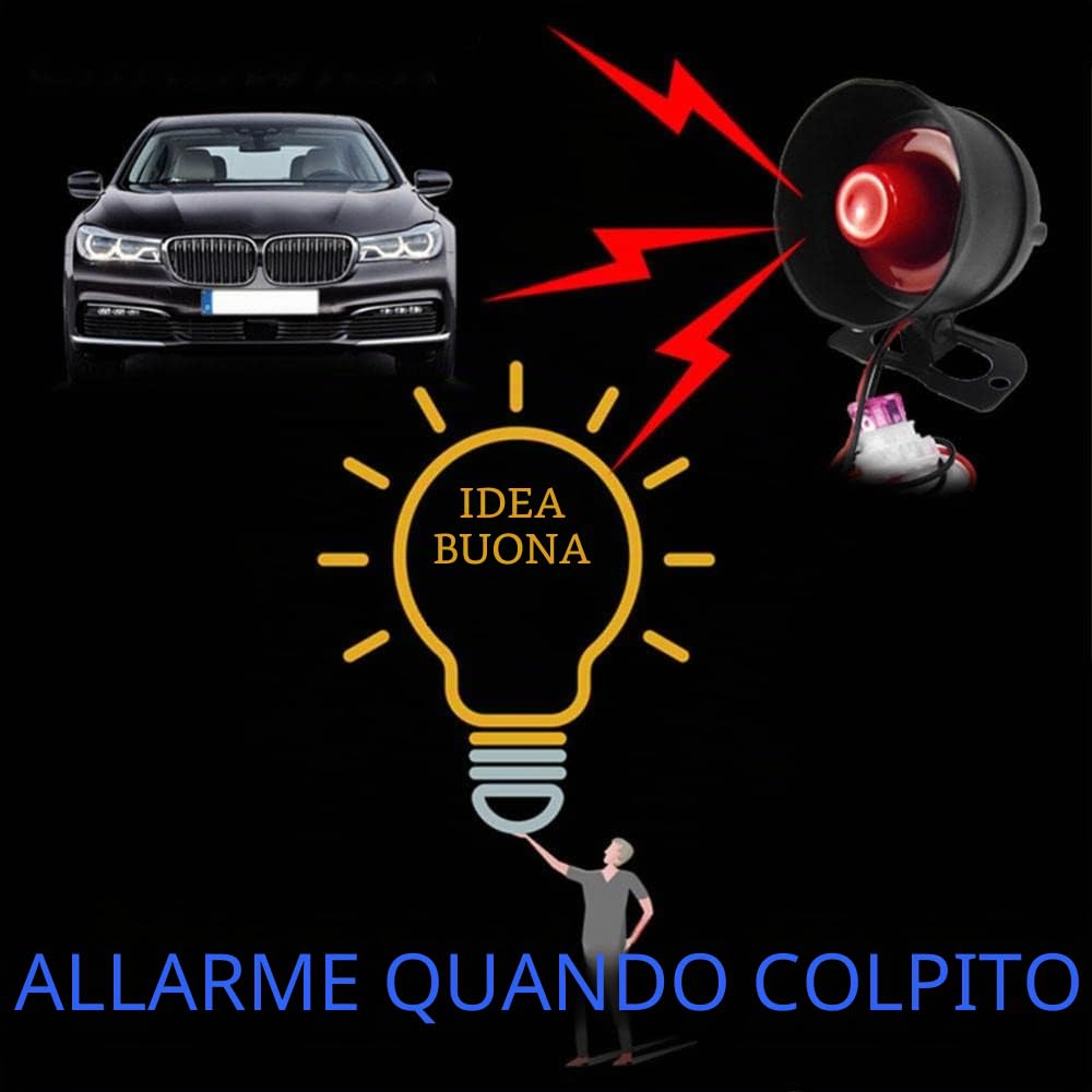 Riloer 12V Allarme auto universale Vibrazioni Sistema antifurto per auto Dispositivo per retrofit elettropneumatico Sistema di chiusura centrale, Accessori di allarme auto Protezione di sicurezza auto