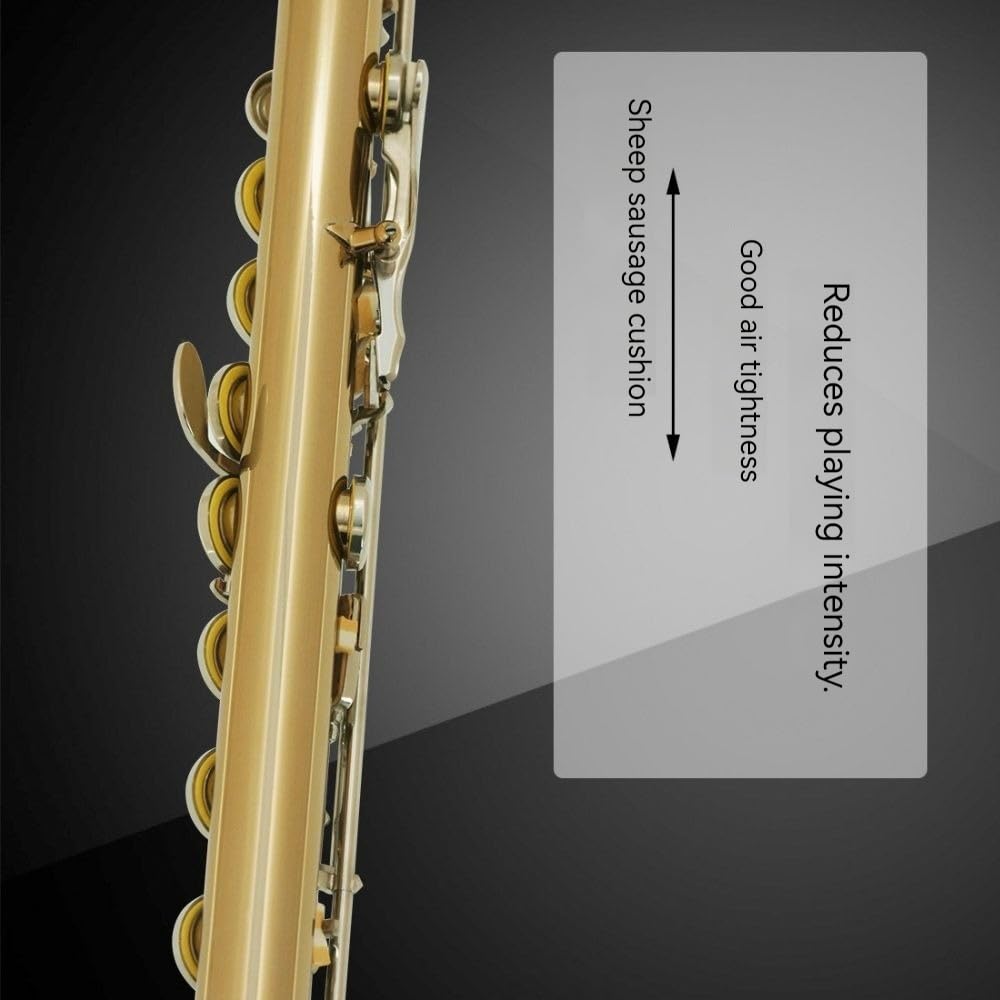 Flauta de 16 teclas con llaves plateadas en oro, flauta con boquilla cuadrada, cuerpo de tubo de cobre blanco, tecnología de oro pintado, tono redondo y sensación cómoda, adecuada for principiantes y