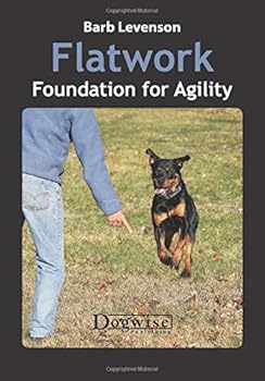 Flatwork Foundation for Agility