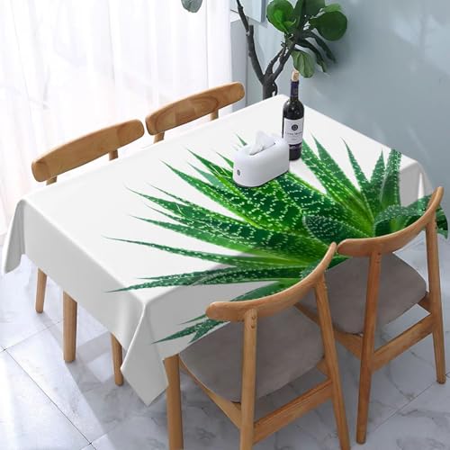 YOIUE Mantel Rectangular,Planta, Aloe Vera con Colores Brillantes Especies autóctonas Remedios Les a,Fácil de Limpiar,Lavable a máquina,Duradero, Rectangular,para casa,Restaurante,Banquete,137x183 cm
