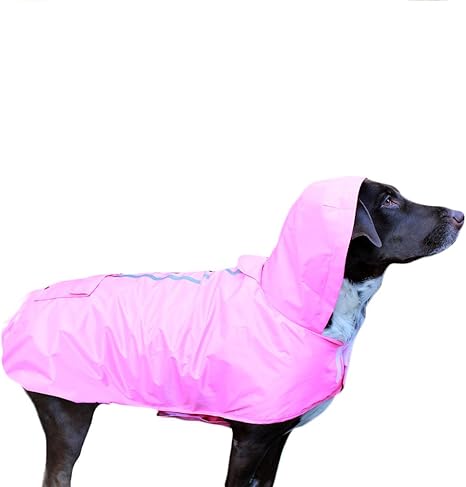 amazon dog raincoats