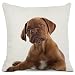 Pug Dog Decorative Throw Pillow Covers Cotton Linen Square Cushion Covers Animal Puppy Pillow Cases for Sofa Couch Home Decor 18x18 Inch