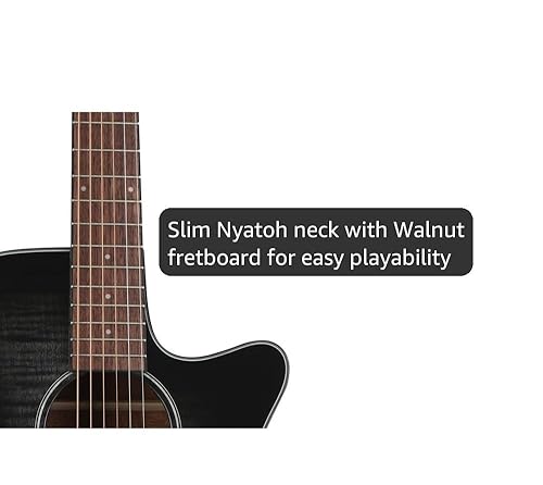 Amazon.com: Ibanez AEG70 Acoustic-Electric Guitar - Transparent