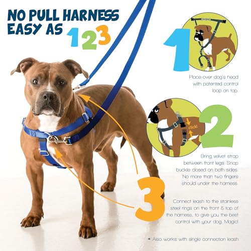 2 Hounds Design 859131002199 No-Pull Dog Harness with LeashLarge (1zoll Wide) LBlack