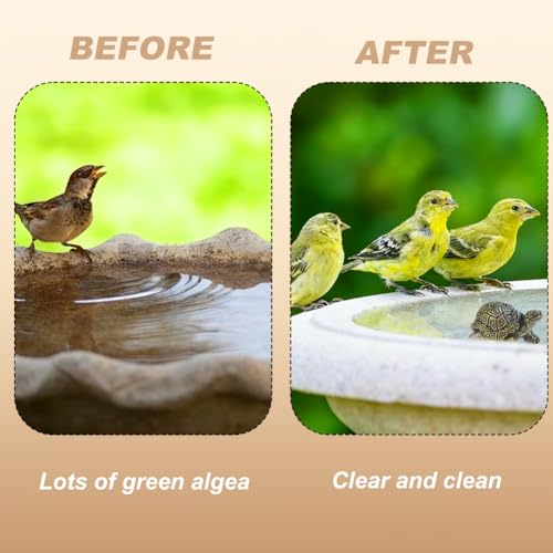 GOMAKERER 8 Stück Mini Schildkröte Kupfer Badescheiben Ornamente, Kleine Schildkröte Aus Messing Dekoration Bad Reinigungsscheiben Feng Shui Glücksbringer Geschenk Für Yoga Meditation Home Office