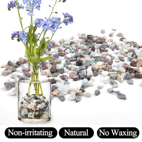 Image of 5lbs Mixed Color Pebbles for Plants, 3 /8inch Small Rocks for Succulent Cactus Planters, Natural Polished Pebbles, River Rocks for Plants, Vases, Garden
