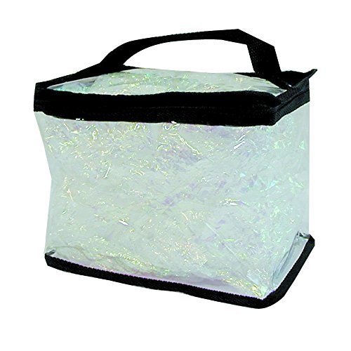 Clear Totes Train Makeup Case