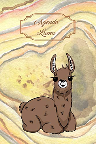 Agenda Lama: Agenda perpétuel avec couverture et intérieur Lama - 56 semaines avec des pages supplémentaires à découvrir (15 x 23 cm) Agenda Lama: Agenda perpétuel avec couverture et intérieur Lama - 56 semaines avec des pages supplémentaires à découvrir (15 x 23 cm)