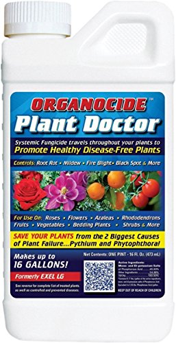 Organic Laboratories 810011 Exel LG Systemic Concentrated Fungicide, 1-Pint - OLSFPT