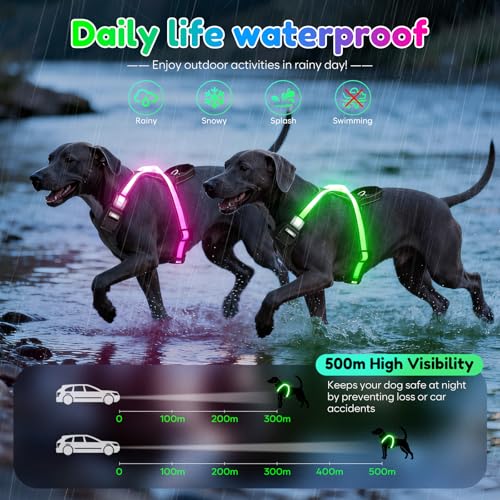 LED Hundegeschirr Leuchtend, Multicolor Reflektierendes Leuchthundegeschirr für Nacht, USB-C Wiederaufladbar mit Batterieanzeige, Verstellbares No-Pull Geschirr für Sichere Spaziergänge (L)