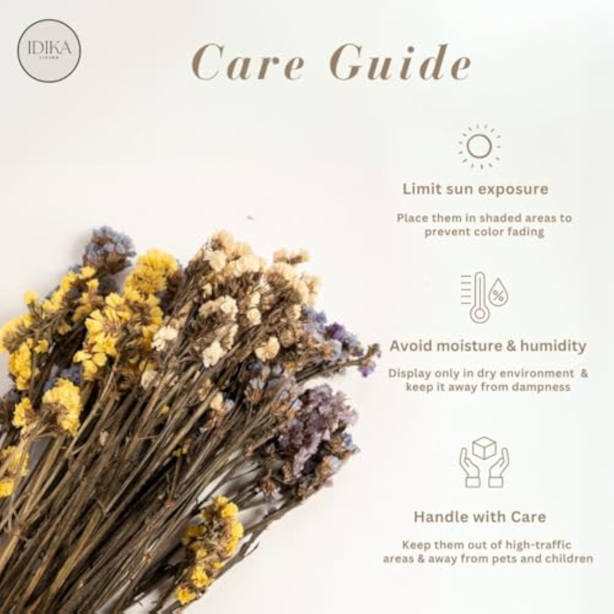 Dried Statice Flowers, Natural Preserved Blooms for Home Decor