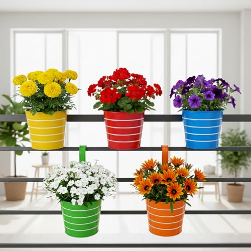 Image of Urban Plant Railing Hanging Metal Planter Pot | Gamla for Balcony | Bucket Planter for Home Decor | Pot for Indoor & Outdoor - Pack of 5 (Lining)