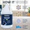 Eco Strong Cat Stain And Odor Remover| Enzyme Urine Odor Neutralizer - Stain Remover for Carpet, Litter Boxes, Bedding, and Laundry [Citrus Scent Gallon Value Size]