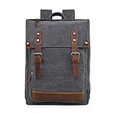 TSD Brand Discovery Canvas Backpack Travel Daypack Lightweight Carry On Laptop Backpack Hiking Backpack (Grey)