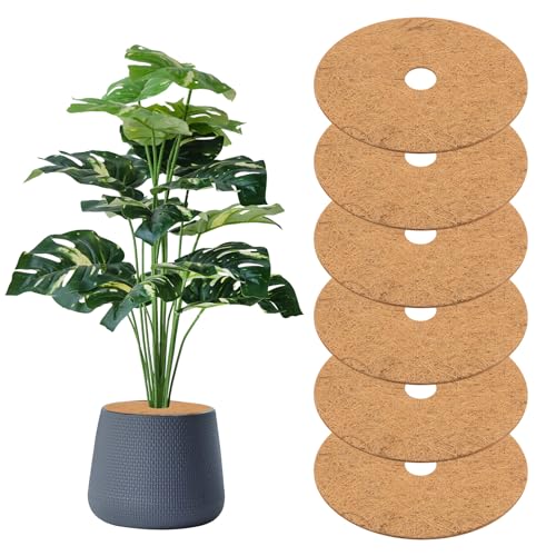M METERXITY 6-Pack Anillo de Mulch de Fibras de Coco Protector de Árboles, Mat de 20cm para Árboles/Jardinería/Anillo de Protección de Árboles Cubierta de Suelo [Marrón de Coco]