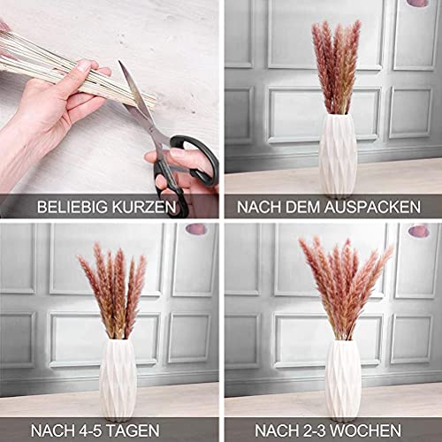 Natuurlijke gedroogde Pampas Gras Gedroogde Pampas Gras Pluizig in Vaas Kunstmatige Pampas Gras Plant Gedroogde Pampas… - Afbeelding 5