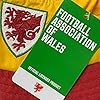 Wales F.A. Official FAW Football Gift Bucket Hat Red Yellow Green L/XL #3