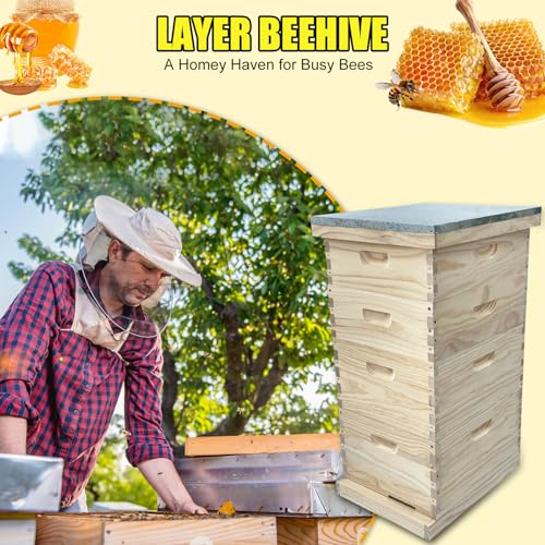 Gkweres Bee Hive Boxes Starter Kit thumb #5