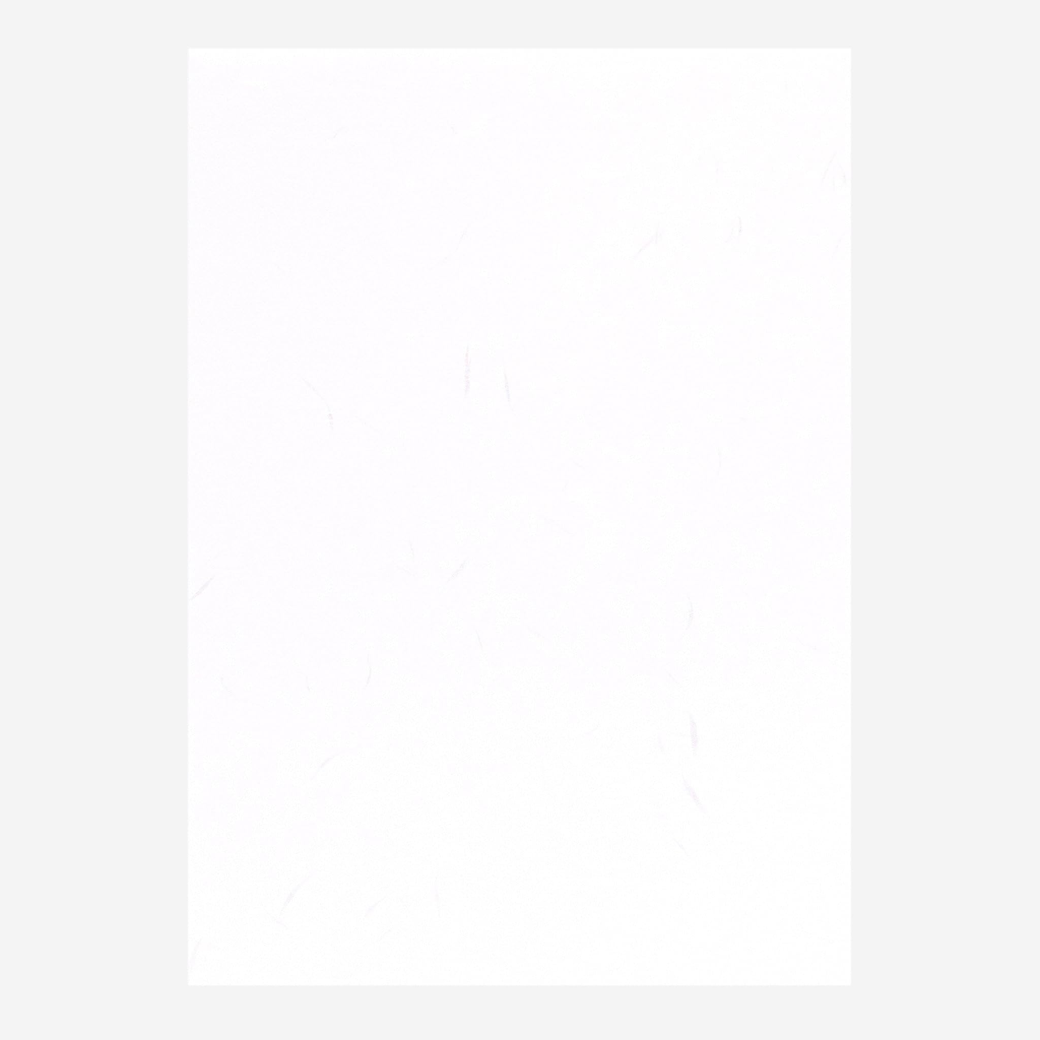ＴＡＫＥＯ ＰＡＰＥＲ ＰＲＯＤＵＣＴＳ PAPER PALETTE A4中紙 やわらがみ 白花 純白 10枚入