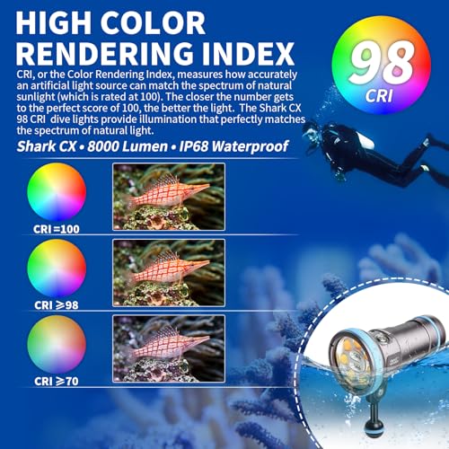 LetonPower Shark CX tauchlampe Video 8000 Lumen - IP68 wasserdichte Videoleuchte (120m), CRI 98 mit 120°-Winkel, USB-C wiederaufladbar für Unterwasser videoleuchte