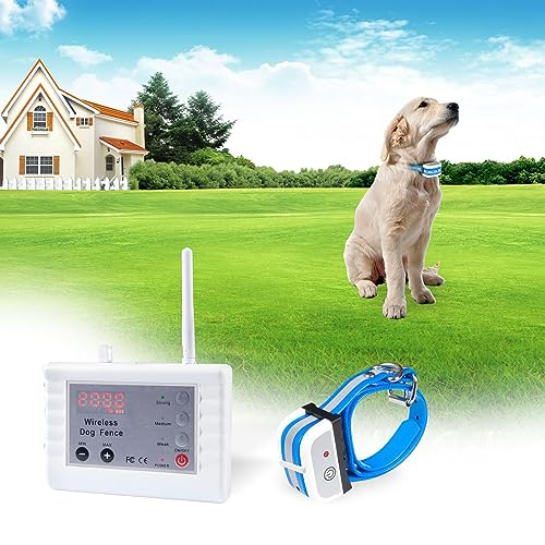 Find The Best Wireless Pet Containment System Reviews & Comparison