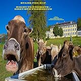 iGrooveNext.com