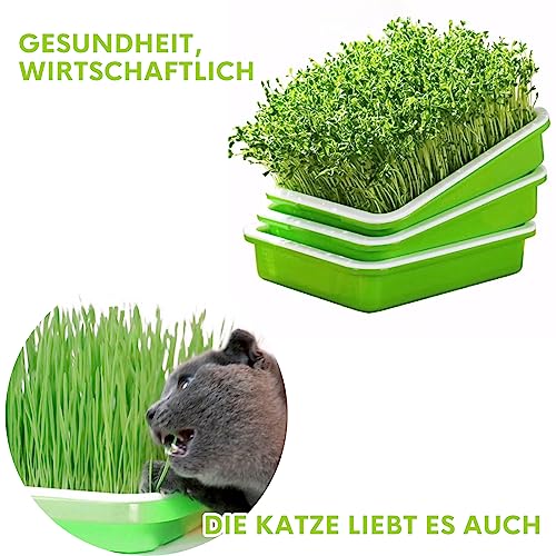 Foto von Chedin 4 Stück Seed Sprouter Tray Keimschale, Sprossen Sämlinge Weizen Grassierer Pflanzer, Hydroponics Dauerhaft Samen Keimung Tablett für Garten Home Office-grün